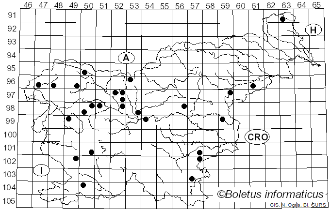 <i>Gliophorus</i> Herink (1958)
