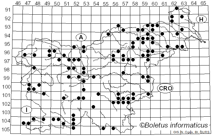 <i>Conocybe</i> Fayod (1889)
