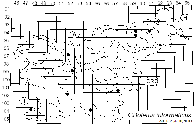 <i>Phellinus laevigatus</i> (Fr.) Bourdot & Galzin (1928)