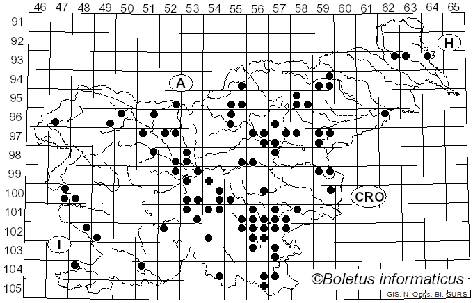 <i>Amanita ceciliae</i> (Berk. & Broome) Bas (1983)