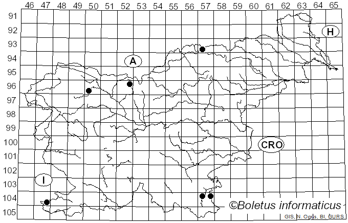 <i>Dioryctria</i>