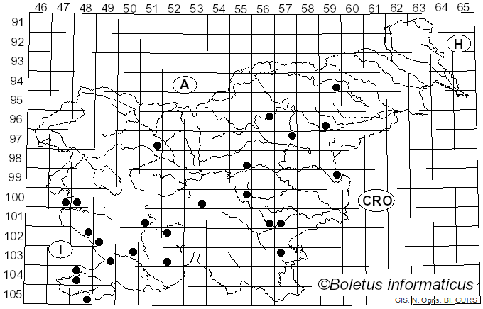 <i>Calonarius xanthophyllus</i> (Cooke) Niskanen & Liimat. (2022)