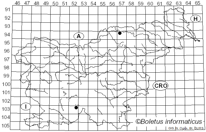 <i>Bacidia arceutina</i> (Ach.) Rehm & Arnold (1869)