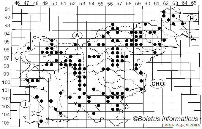 <i>Lactarius rufus</i> (Scop.) Fr. (1838)