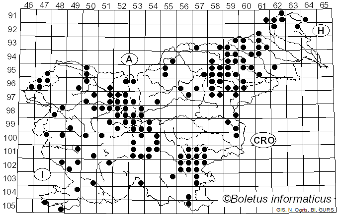 <i>Rhodocollybia</i> Singer (1939)