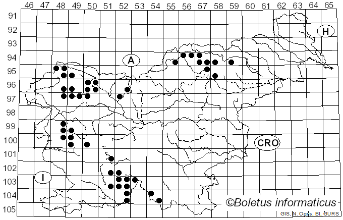 <i>Candelariella reflexa</i> (Nyl.) Lettau (1912)