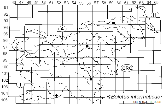 <i>Coprinopsis acuminata</i> (Romagn.) Redhead, Vilgalys & Moncalvo (2001)