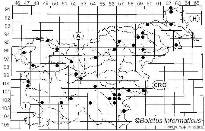 <i>Ganoderma adspersum</i> (Schulzer) Donk (1878)