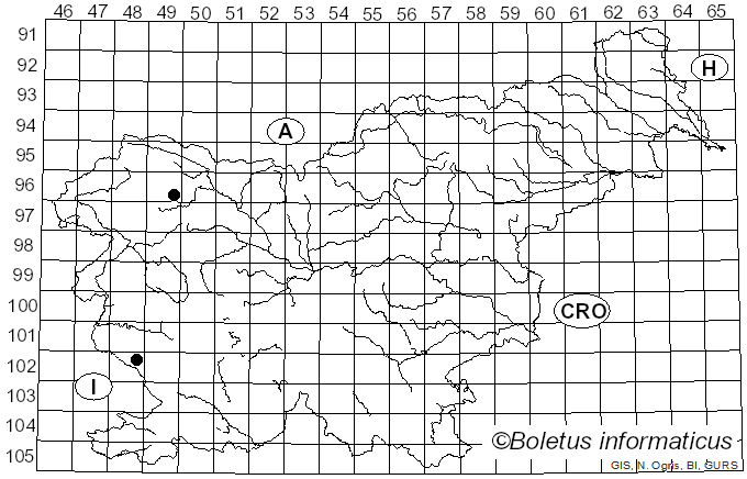 <i>Aspropaxillus</i> Kühner & Maire (1934)