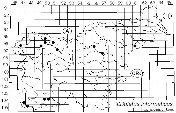 <i>Deconica</i> (W.G. Sm.) P. Karst. (1879)
