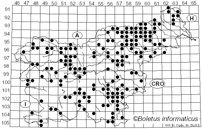 <i>Hydnellum</i> P. Karst. (1896)