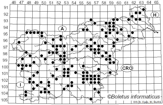 <i>Marasmius oreades</i> (Bolton) Fr. (1836)