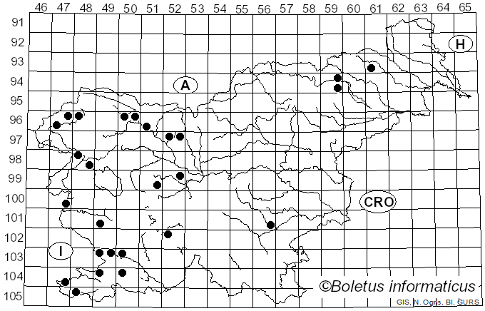 <i>Terana coerulea</i> (Lam.) Kuntze (1891)