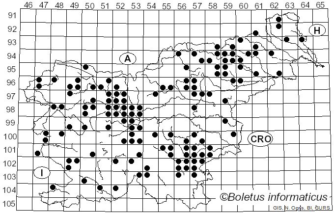 <i>Cystoderma amianthinum</i> (Scop.) Fayod (1889)