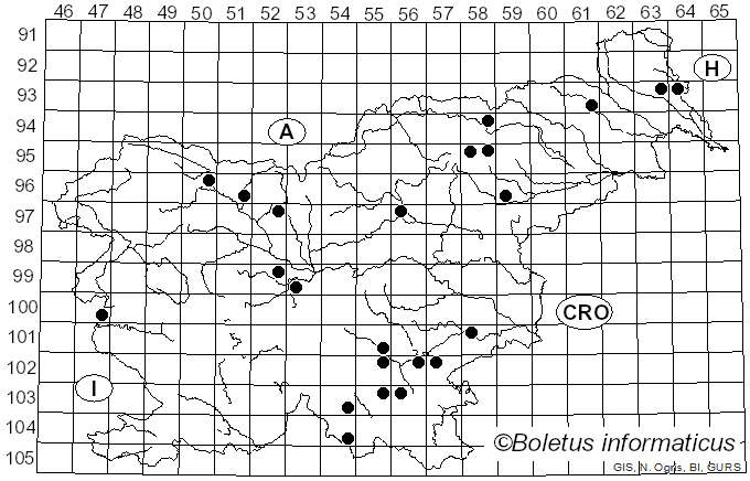 <i>Aleurodiscus</i> Rabenh. ex J. Schröt. (1888)