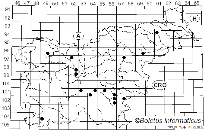 <i>Otidea alutacea</i> (Pers.) Massee (1895)