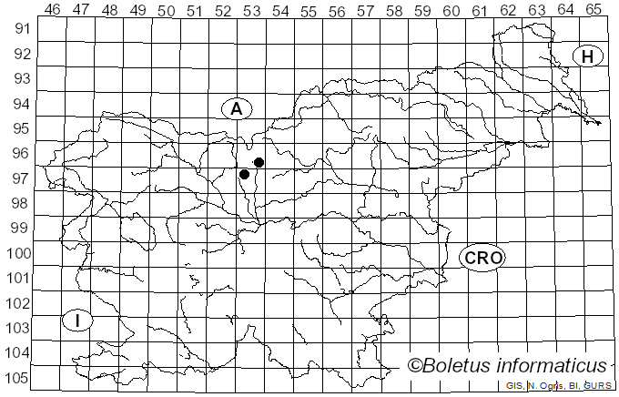 <i>Illosporium roseum</i> (Schreb.) Fr. (1829)