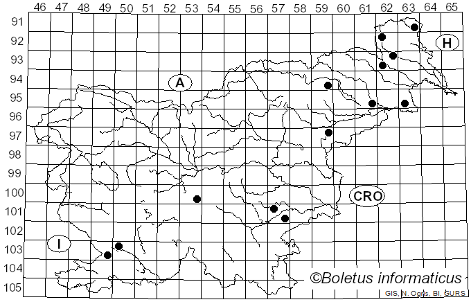 <i>Metuloidea</i> G. Cunn. (1965)