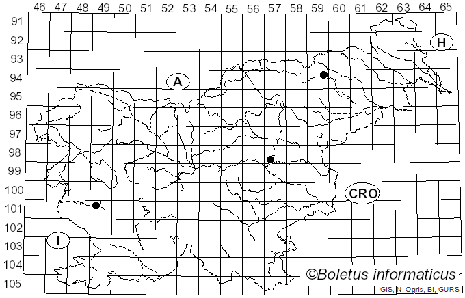 <i>Conocybe brunneola</i> Kühner ex Kühner & Watling (1982)
