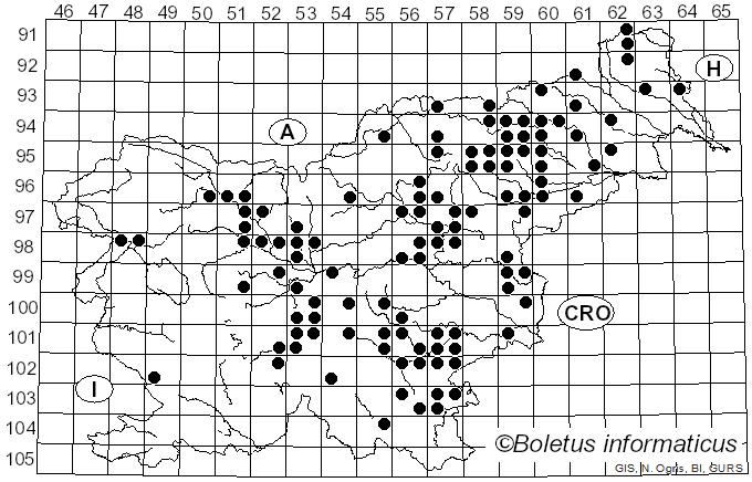 <i>Russula solaris</i> Ferd. & Winge (1924)