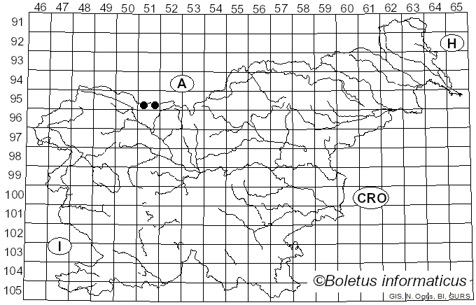 <i>Sphaerella arthopyrenioides</i> Auersw. (1869)