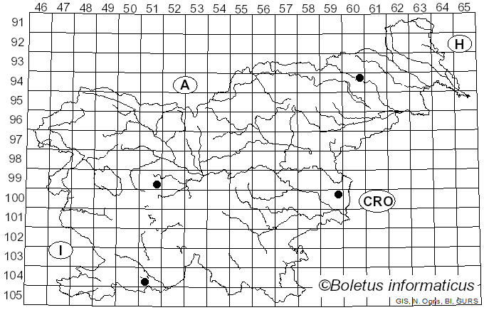 <i>Taphrorychus bicolor</i> (Herbst, 1793)