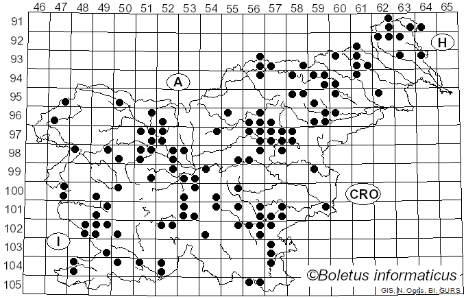 <i>Russula caerulea</i> Fr. (1838)