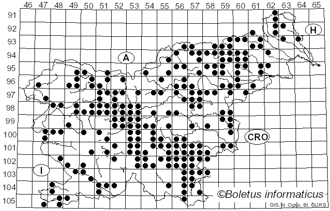 <i>Russula olivacea</i> (Schaeff.) Fr. (1838)