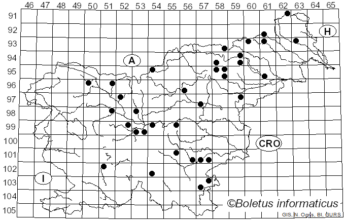 <i>Lactarius mammosus</i> Fr. (1838)