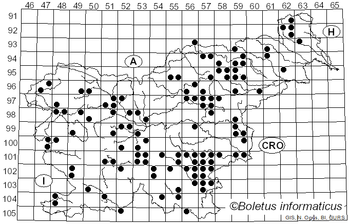 <i>Russula silvestris</i> (Singer) Reumaux (1996)