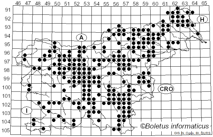<i>Tricholomopsis rutilans</i> (Schaeff.) Singer (1939)
