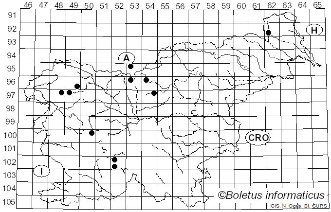 <i>Pipiza quadrimaculata</i> Panzer