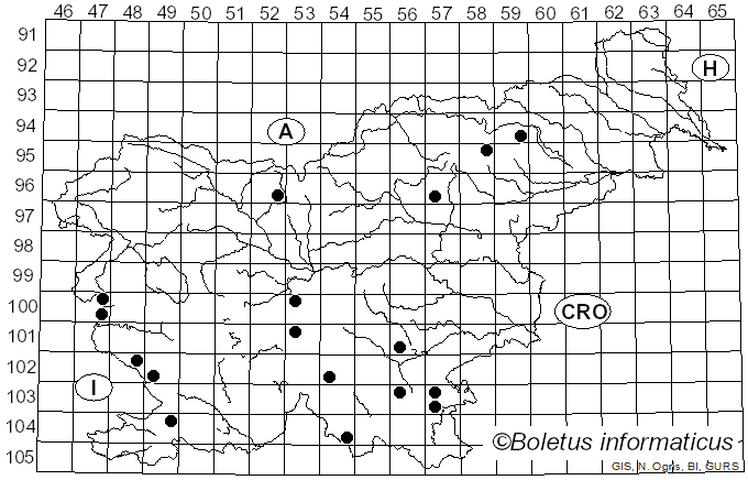 <i>Oudemansiella melanotricha</i> (Dörfelt) M.M. Moser (1983)