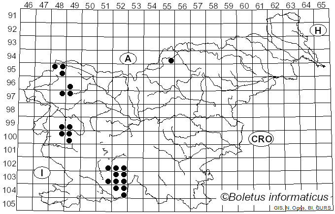 <i>Lecanora horiza</i> (Ach.) Linds. (1813)