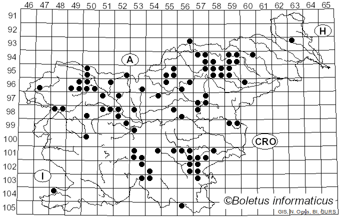 <i>Amanita spadicea</i> Pers. (1797)