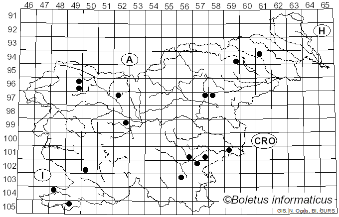 <i>Lyophyllum deliberatum</i> (Britzelm.) Kreisel (1984)