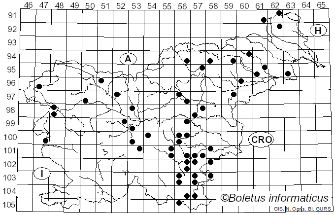 <i>Stereum ochraceoflavum</i> (Schwein.) Fr.