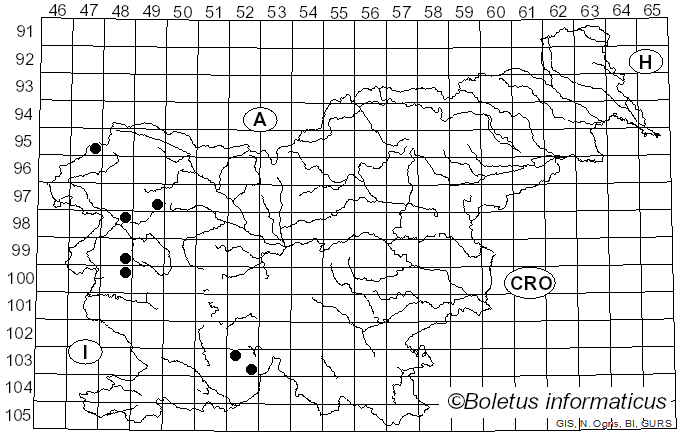 <i>Caloplaca obscurella</i> (J. Lahm) Th. Fr. (1871)