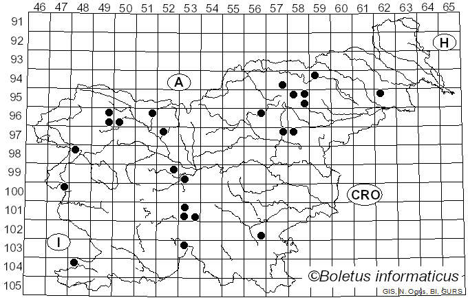 <i>Lactarius albocarneus</i> Britzelm. (1895)