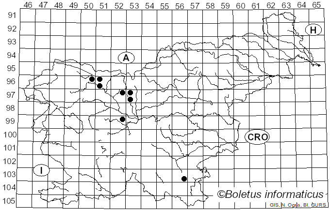 <i>Polystigma</i> DC. (1815)