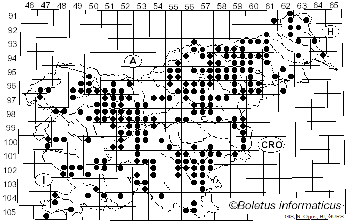 <i>Russula ochroleuca</i> (Pers.) Fr. (1838)