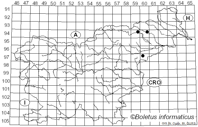 <i>Multiclavula delicata</i> (Fr.) R.H. Petersen (1967)
