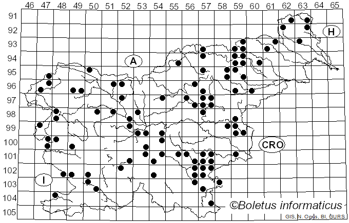 <i>Lycoperdon pratense</i> Pers. (1794)