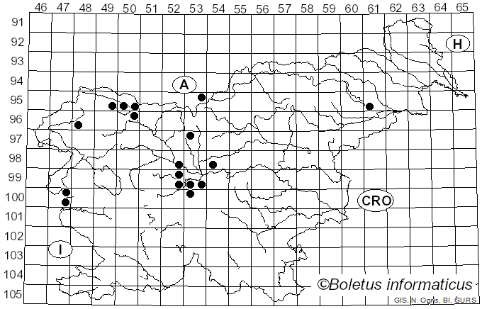 <i>Entyloma</i> de Bary (1874)