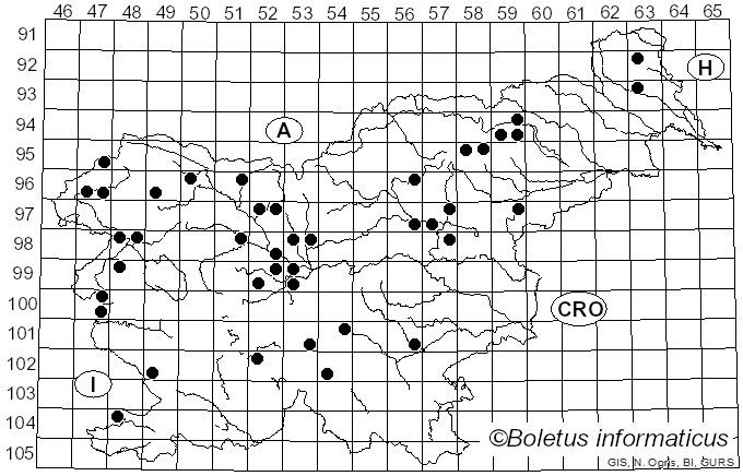 <i>Cortinarius cinnabarinus</i> Fr. (1838)