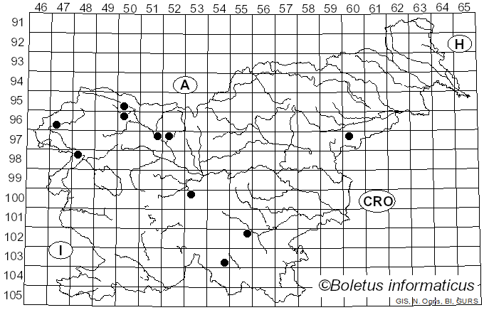 <i>Junghuhnia nitida</i> (Pers.) Ryvarden (1972)