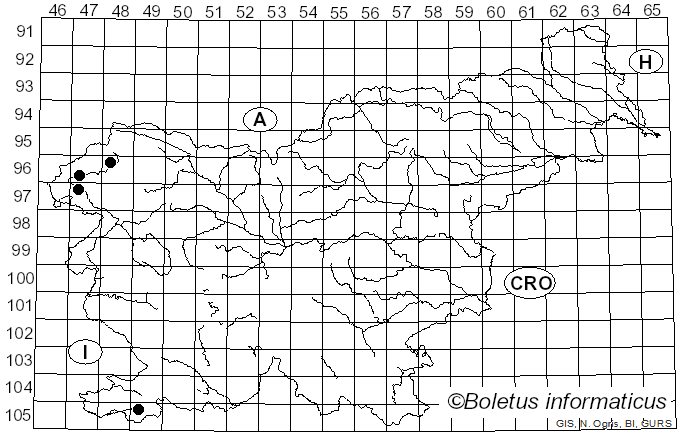 <i>Galerina atkinsoniana</i> A.H. Sm. (1953)