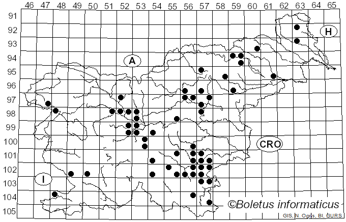 <i>Russula rubra</i> (Fr.) Fr. (1838)