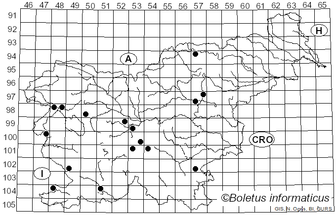 <i>Cortinarius nanceiensis</i> Maire (1911)