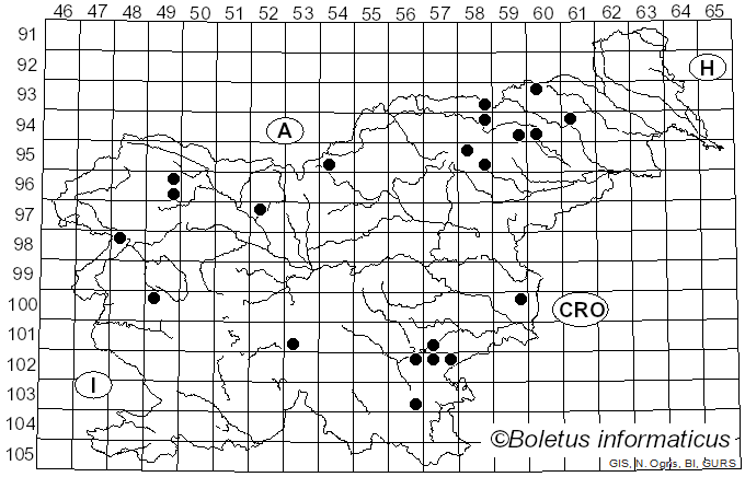 <i>Inocybe pseudohiulca</i> Kühner (1933)